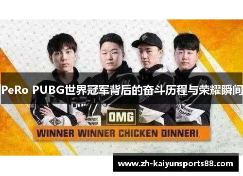 PeRo PUBG世界冠军背后的奋斗历程与荣耀瞬间